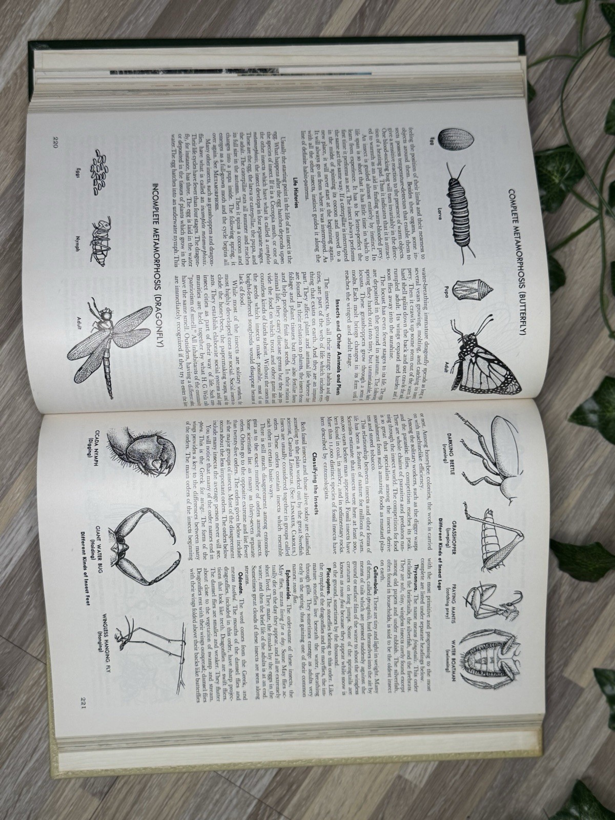 The World Book Encyclopedia Book I Vol 10, Published In 1966, Vintage