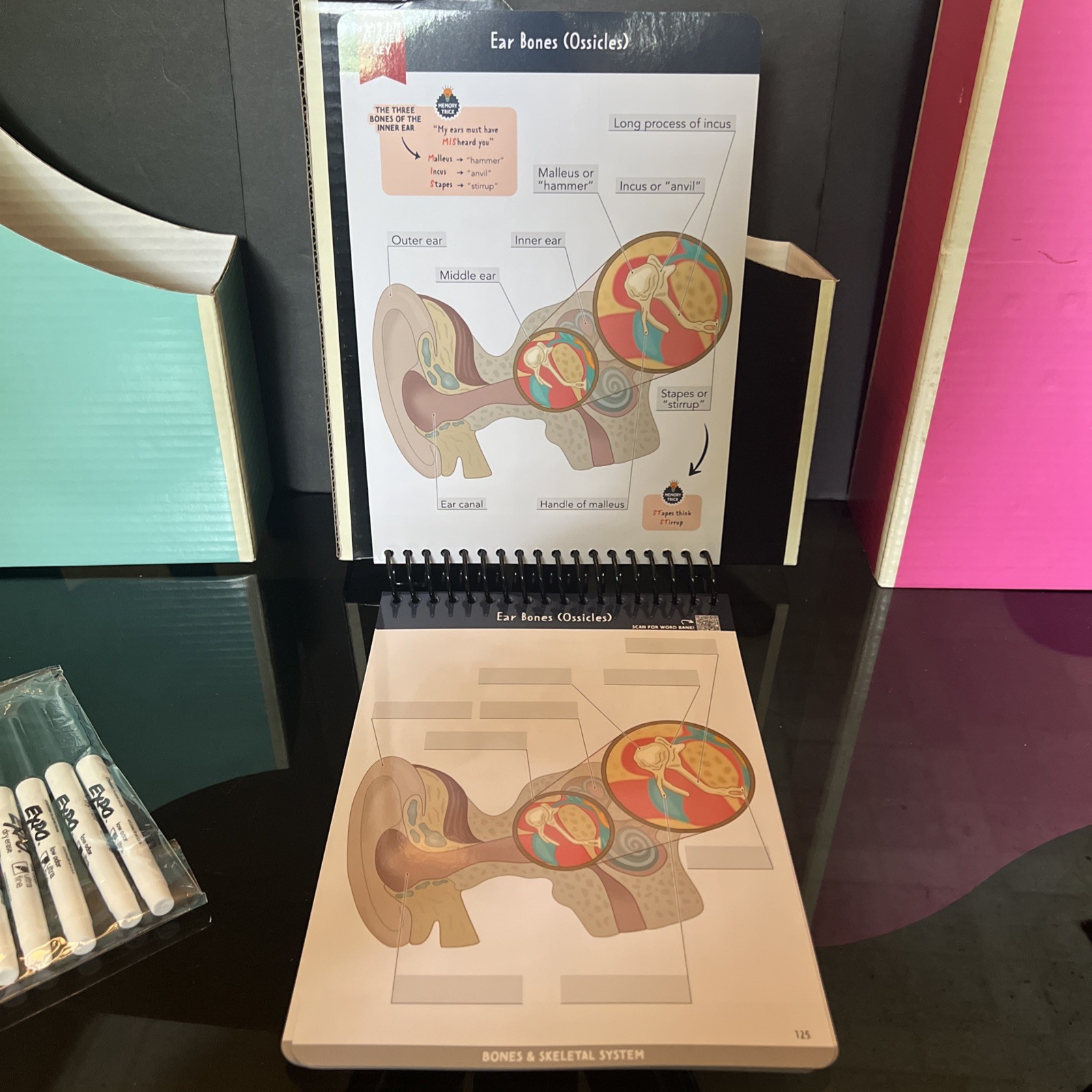 Nurse In The Making Anatomy Label Lab Workbook Laminated Spiral Bound