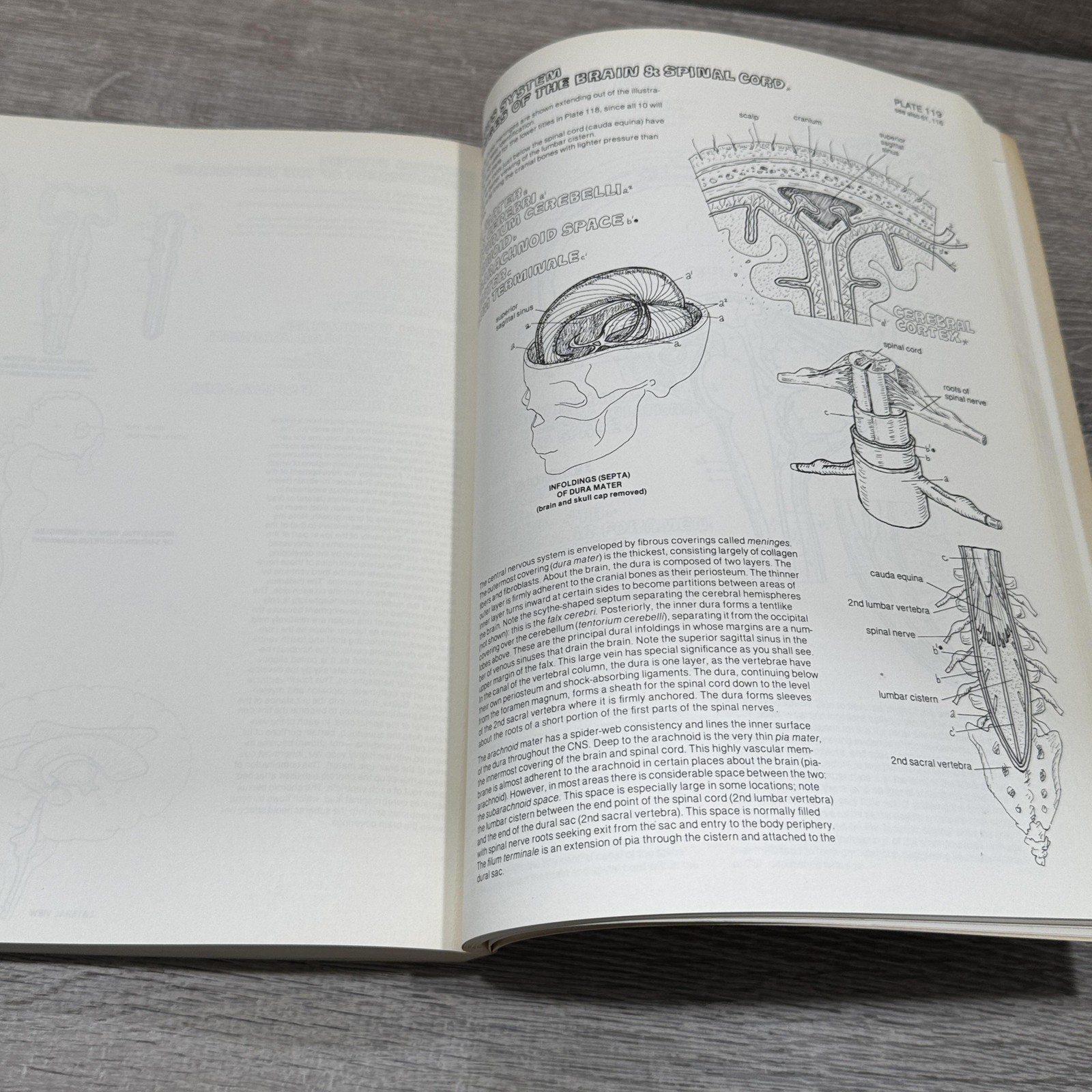 Vintage The Anatomy Coloring Book Kapit Elson Harper & Row Beige PB USA 1977