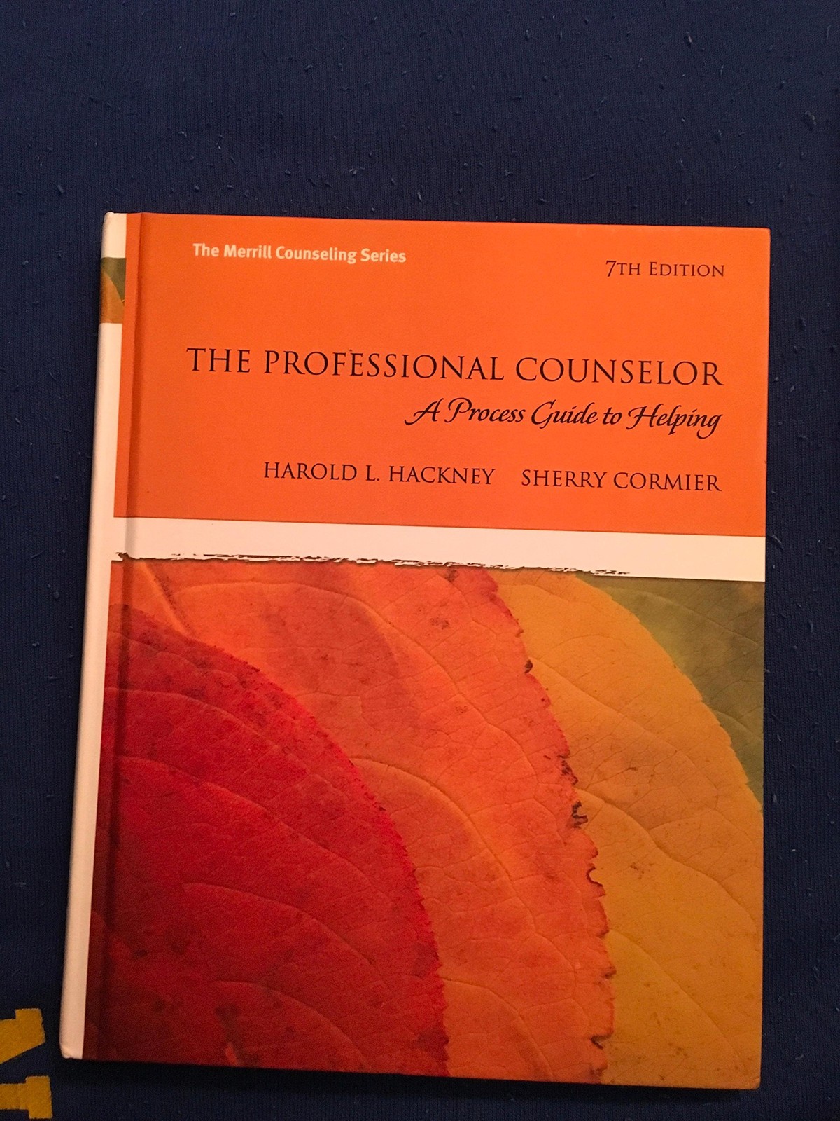 The Professional Counselor: A Process Guide to Helping (7th Edition) – hardc…