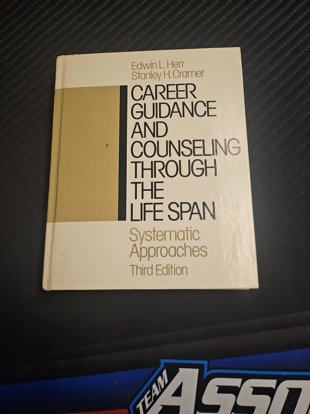 Career Guidance and Counseling Through the Life Span by Stanley H. Cramer and…