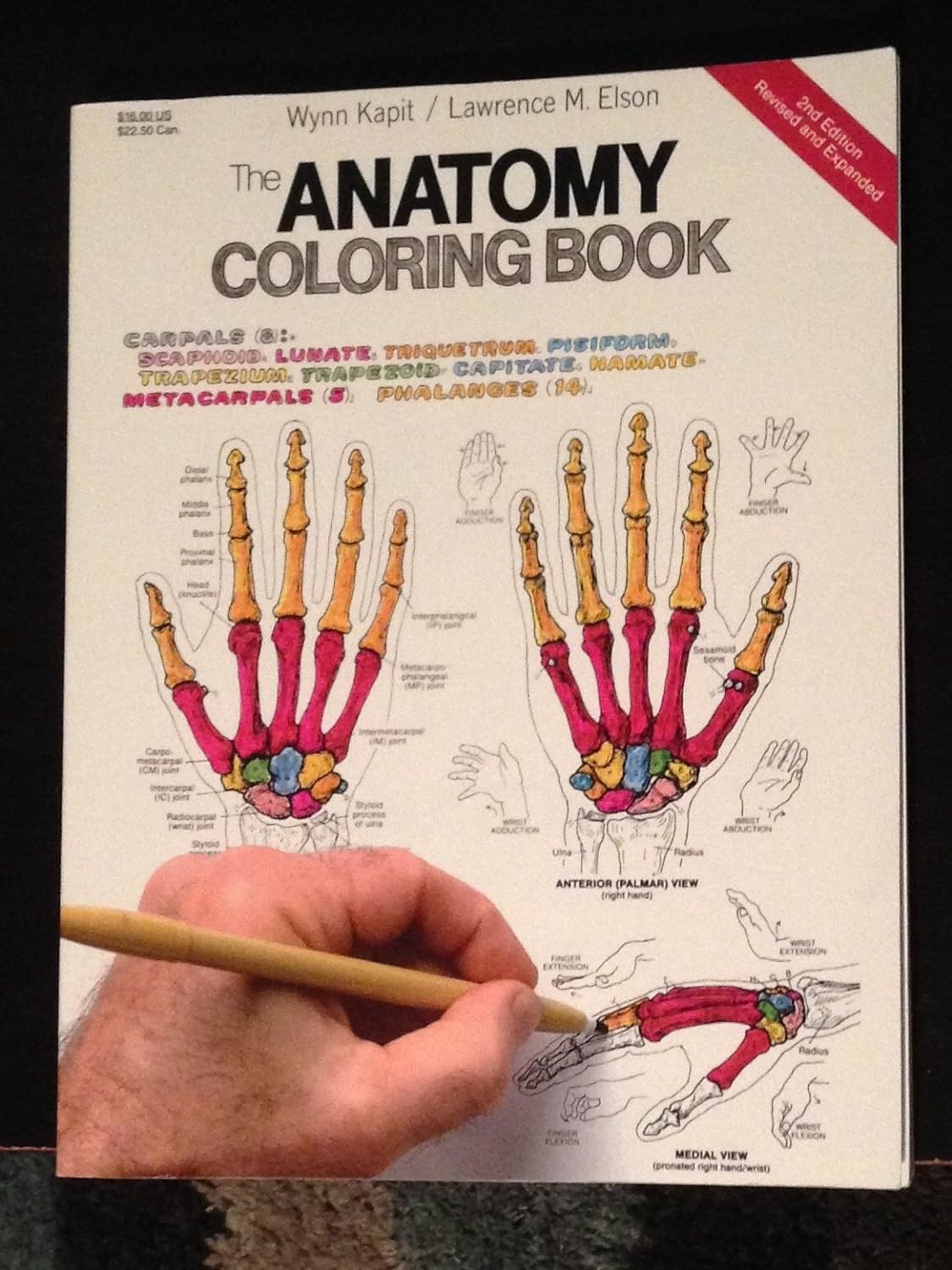The Anatomy Coloring Book by Kapit