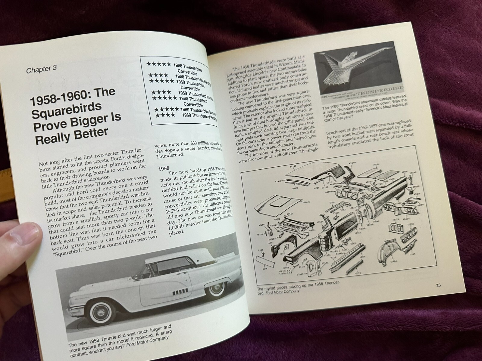 Illustrated Thunderbird Buyer’s Guide by McLaughlin, Paul