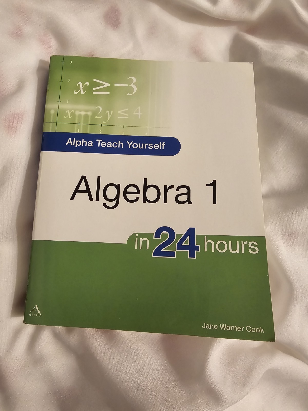 Alpha Teach Yourself Ser.: Alpha Teach Yourself Algebra I in 24 Hours by Jane…