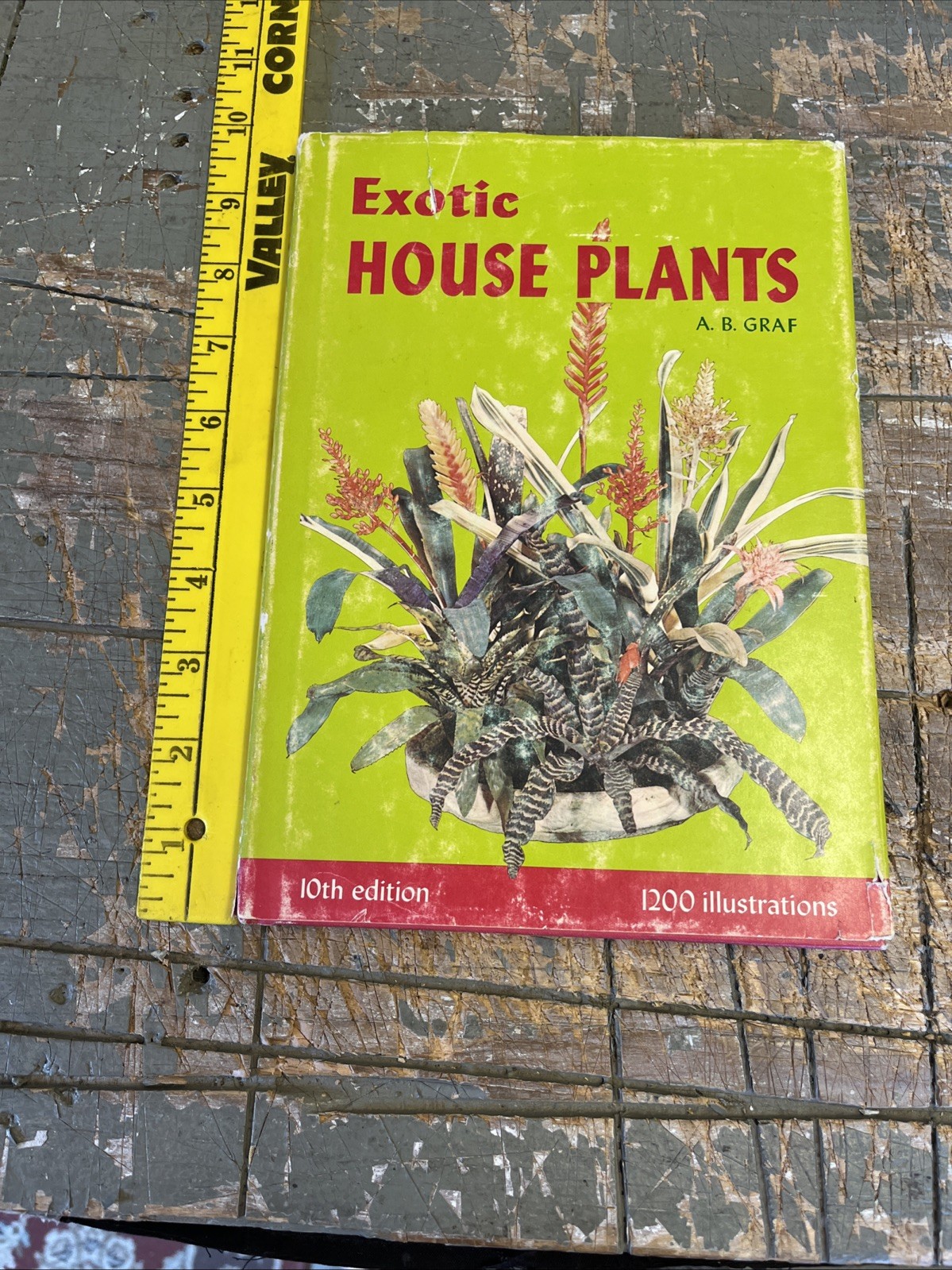 Exotic Plant Manual by A. B. Graf 1200 Illustrations Botany 1976 10th Edition