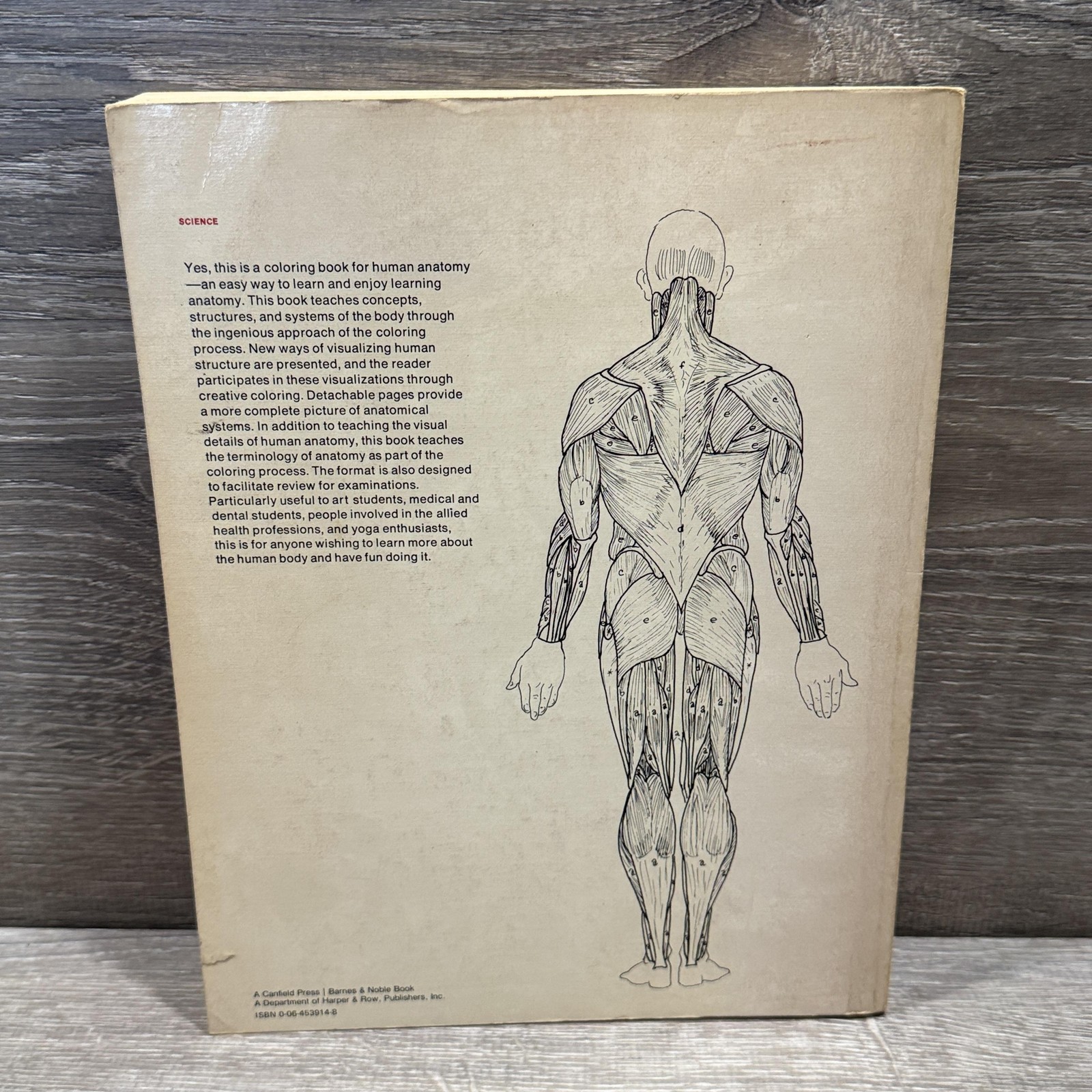 Vintage The Anatomy Coloring Book Kapit Elson Harper & Row Beige PB USA 1977
