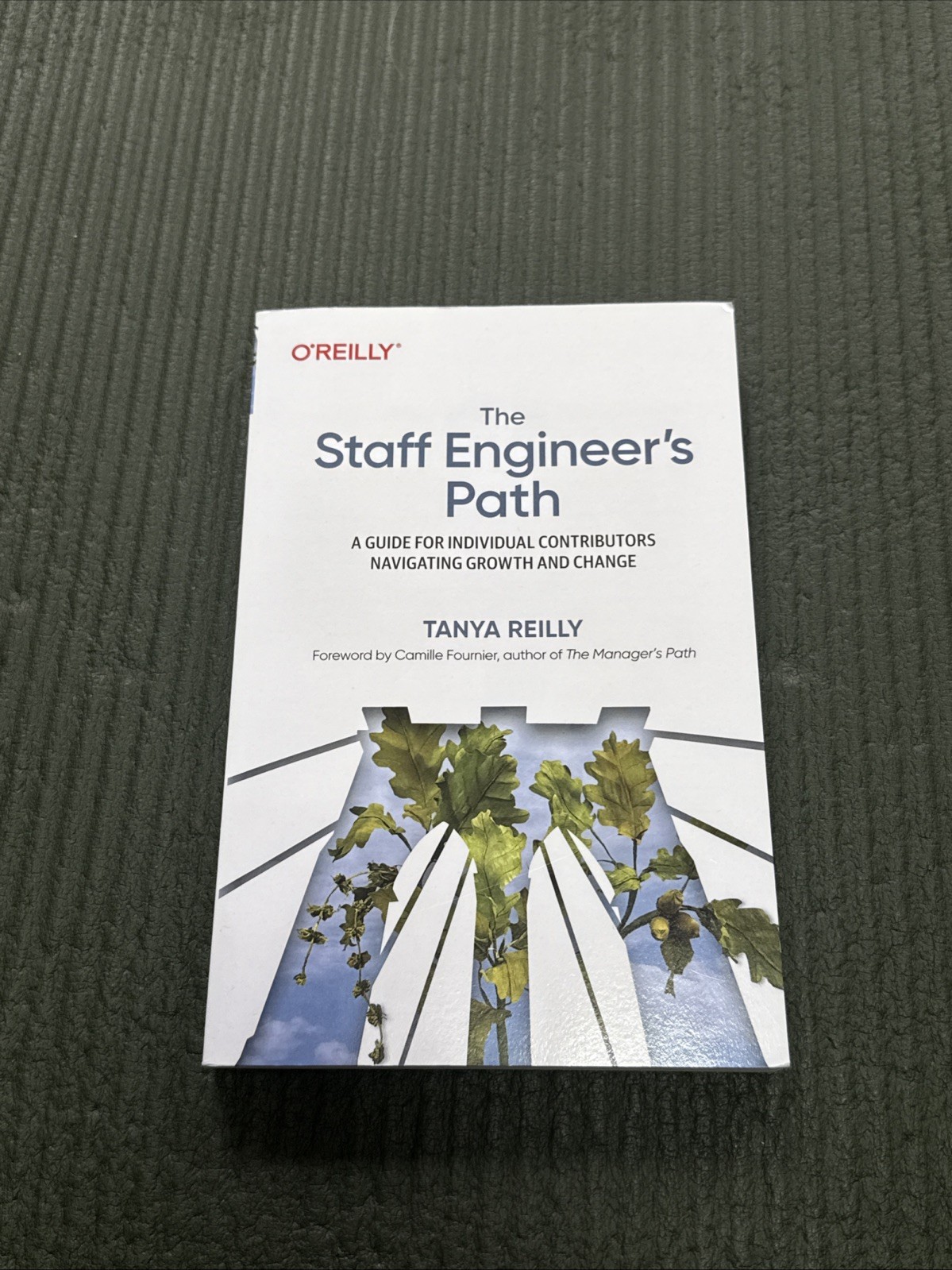 O’Reilly The Staff Engineer’s Path (1st Edition) Tanya Reilly
