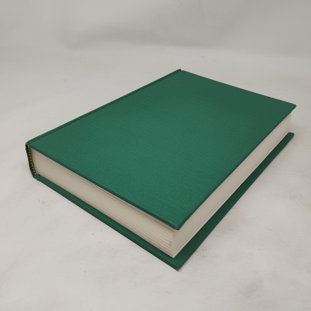 The Kazakhs Martha Brill Olcott Hardcover Hoover Press ISBN 0817983813