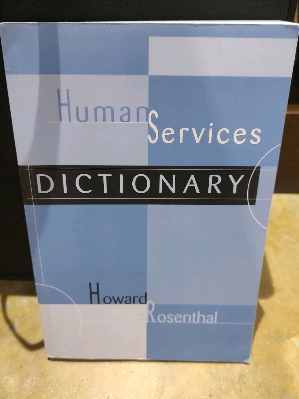 Human Services Dictionary by Howard Rosenthal (2003, Uk-B Format Paperback)