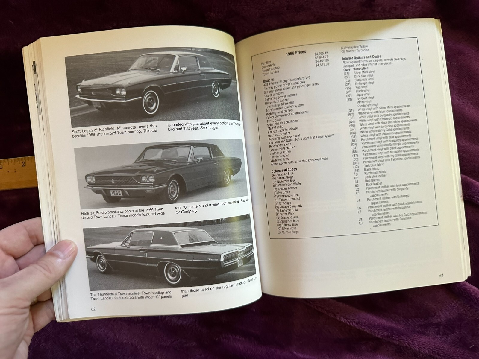 Illustrated Thunderbird Buyer’s Guide by McLaughlin, Paul