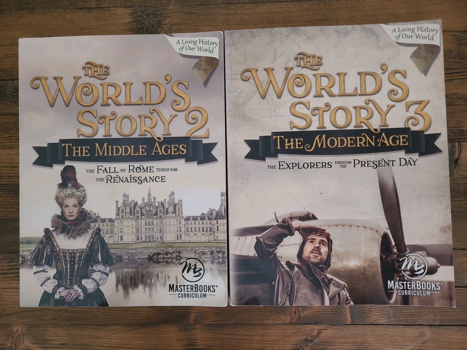 Lot of 2 – The World’s Story 2 and 3 – Angela O’Dell – Masterbooks