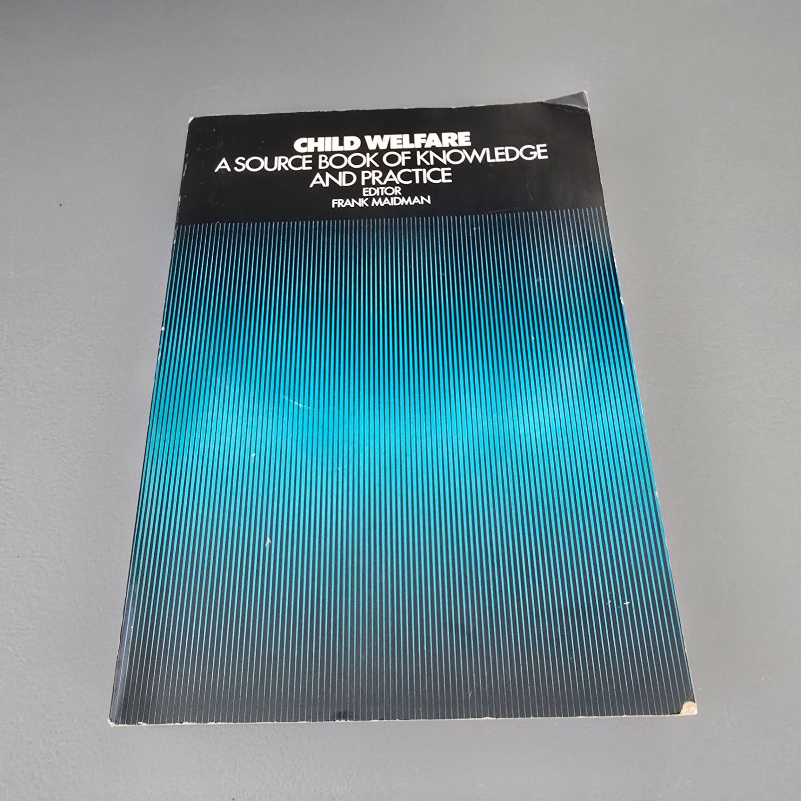 Child Welfare A Source Book of Knowledge and Practice Frank Maidman 1984 CWLA