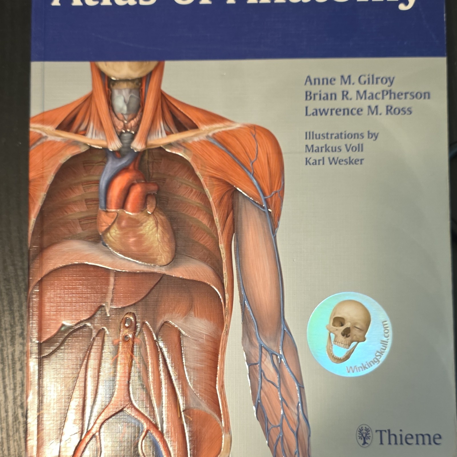 Thieme Anatomy Atlas of Anatomy Hardcover 2010 Illustrated Gilroy MacPherson