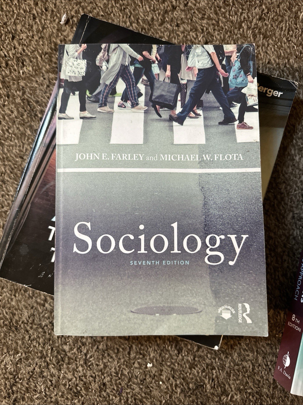 Sociology by John E. Farley and Michael W. Flota (2017, Trade Paperback)
