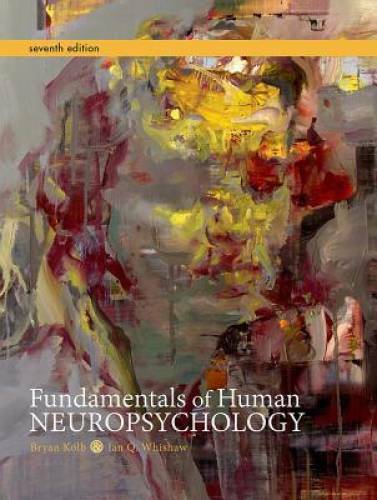Fundamentals of Human Neuropsychology – Hardcover By Kolb, Bryan – GOOD