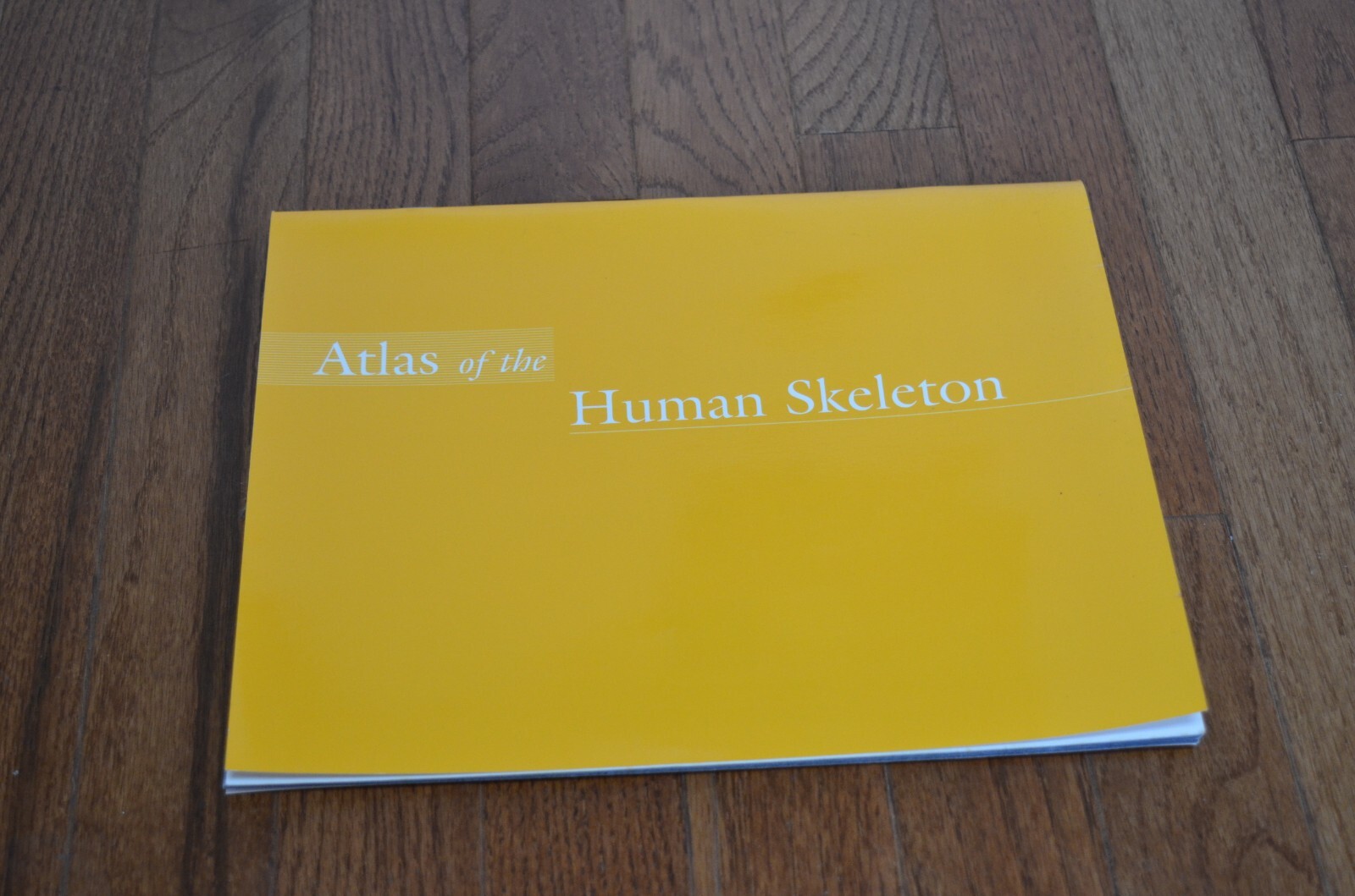 Atlas of the Human Skeleton Addison Wesley Longman Pearson Education
