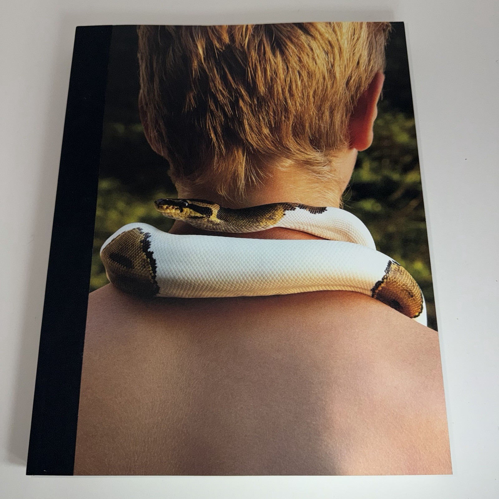 No Small Thing, Desire by Bruce Weber, All-American XIX