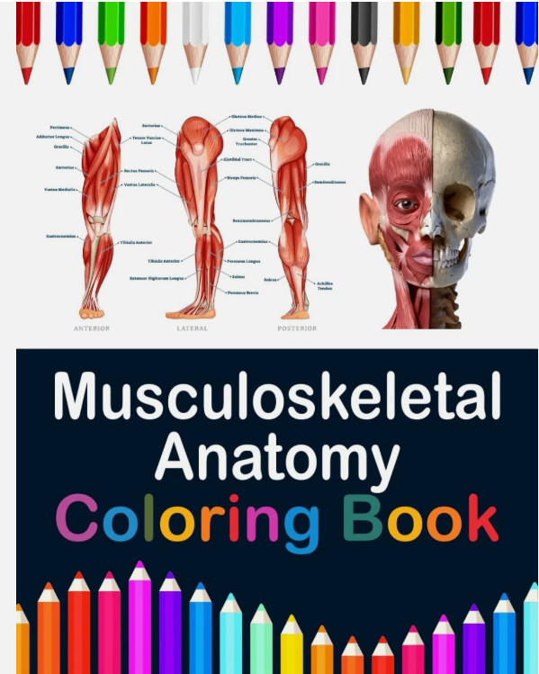 Musculoskeletal Anatomy Coloring Book Educational Anatomy Musculoskeletal System