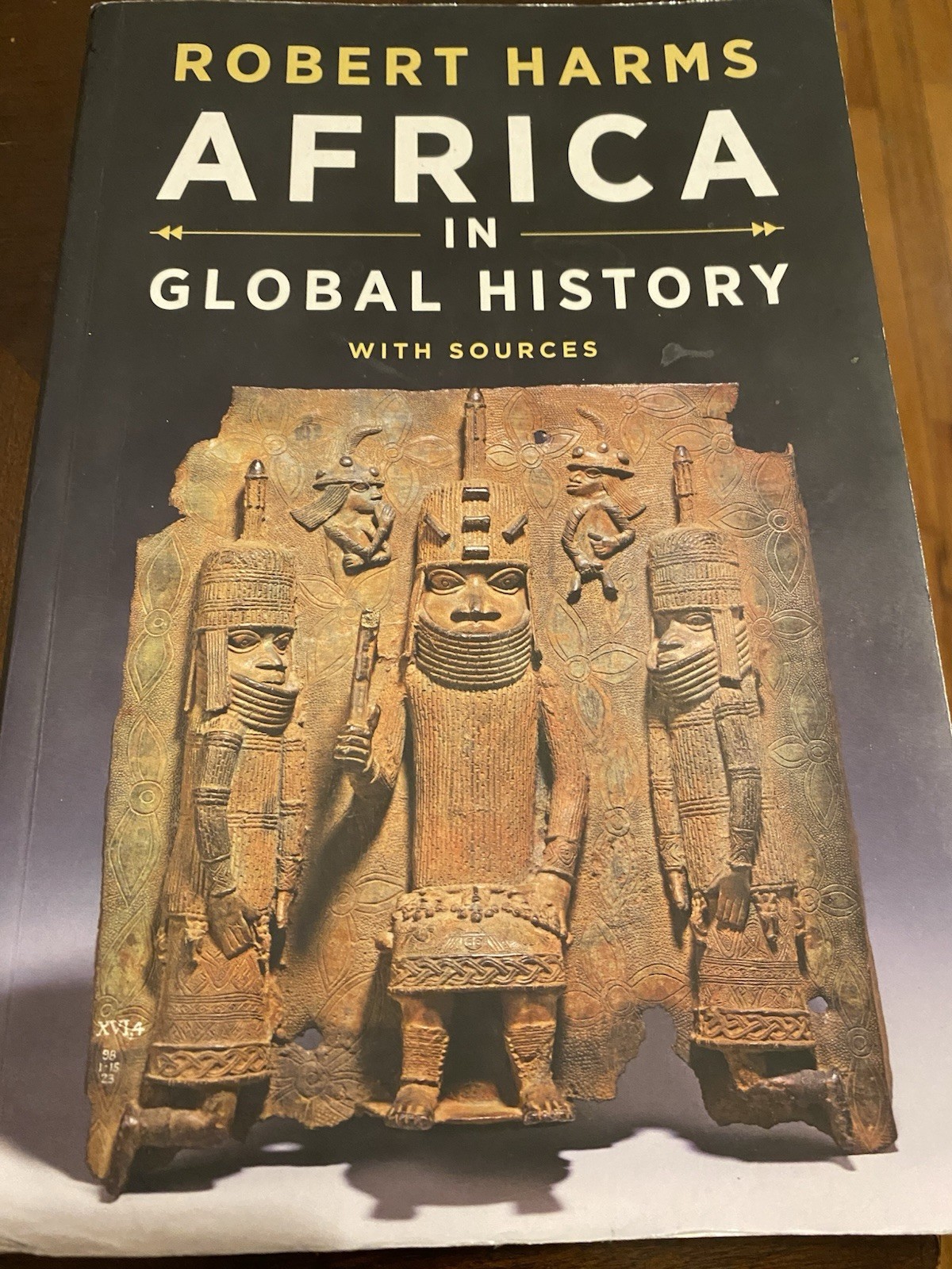 Africa in Global History with Sources – Paperback, by Harms Robert – Good