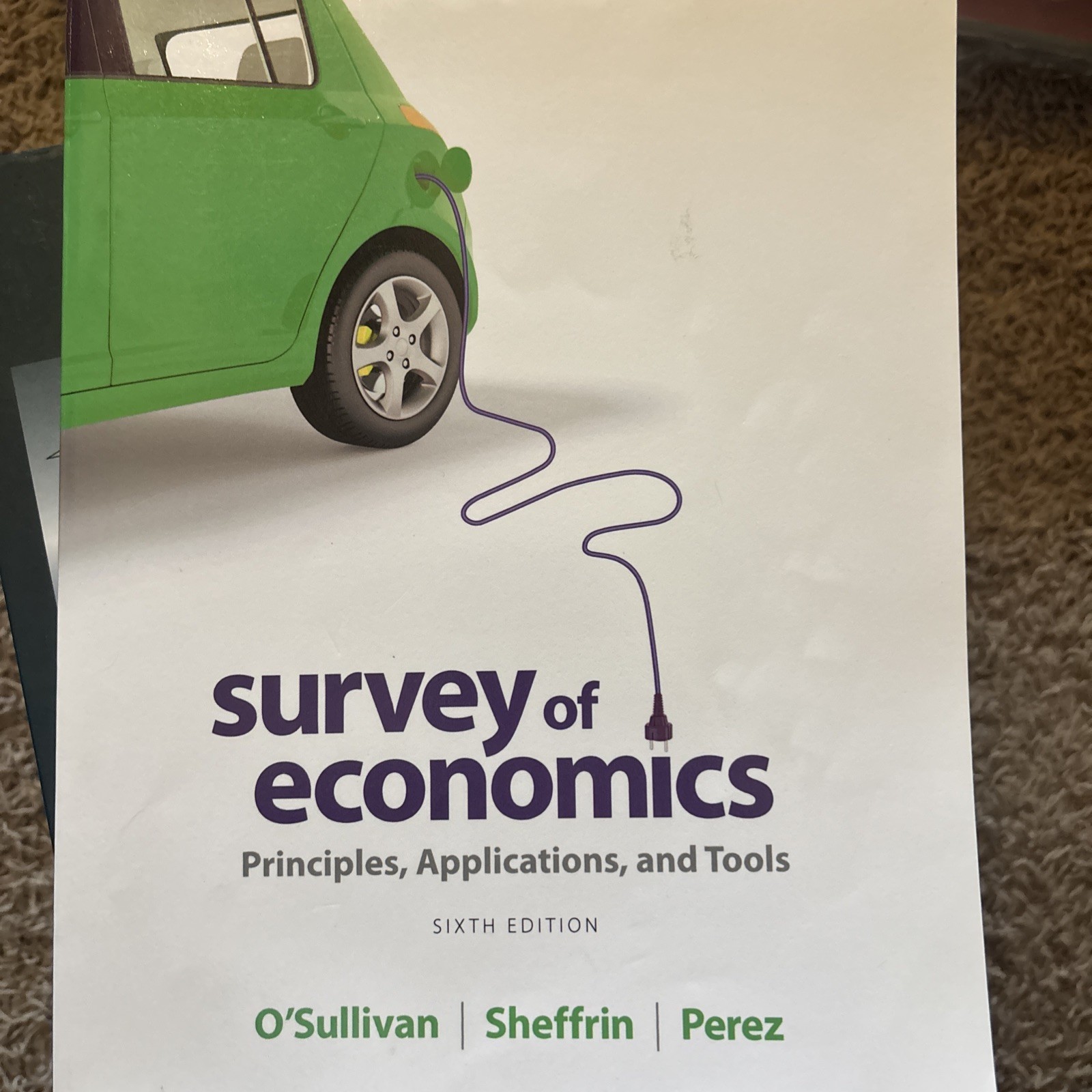 Survey of Economics : Principles, Applications, and Tools
