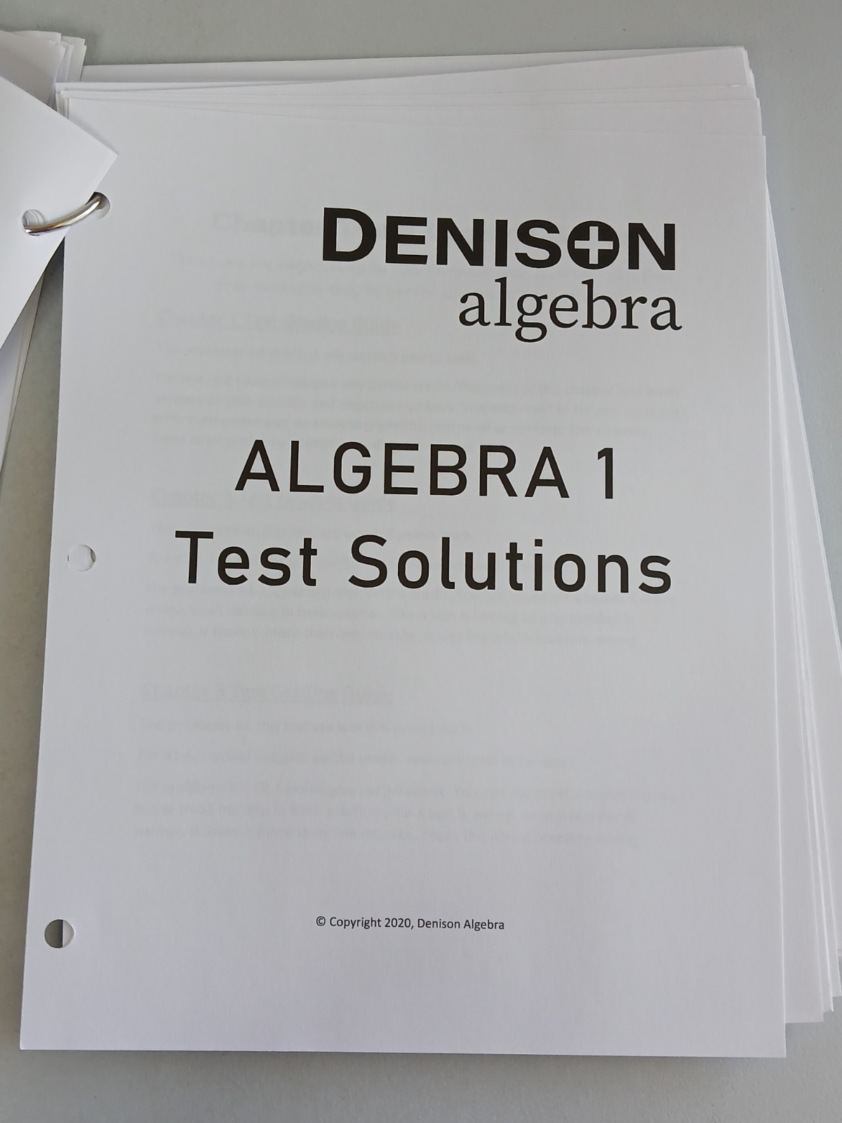 Denison ALGEBRA 1 Solutions Manual and Parent Guide & Test Booklet Book Lot Used