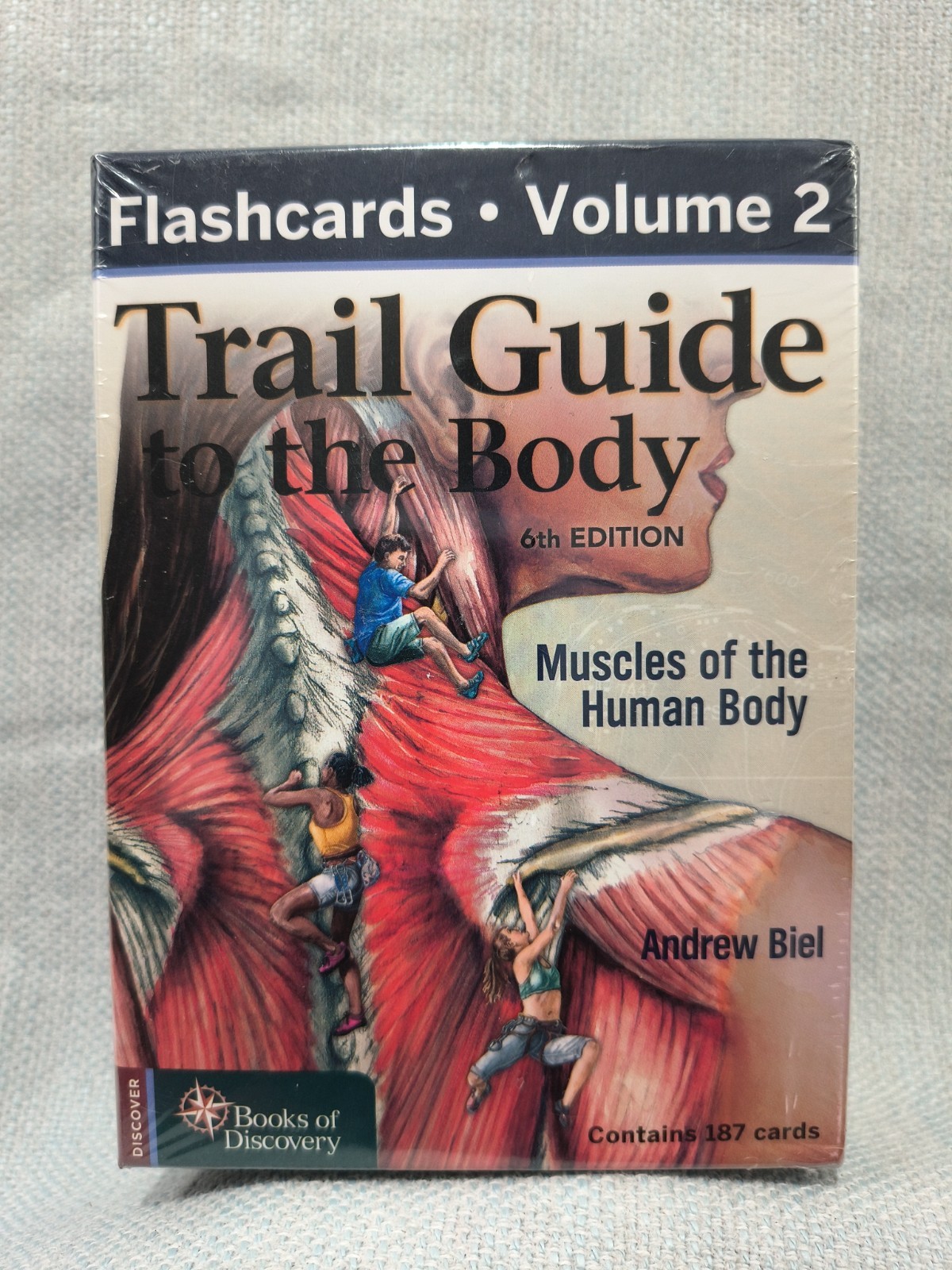 Trail Guide to the Body Flashcards Volume 2: 6th Edition Muscles by Andrew Biel