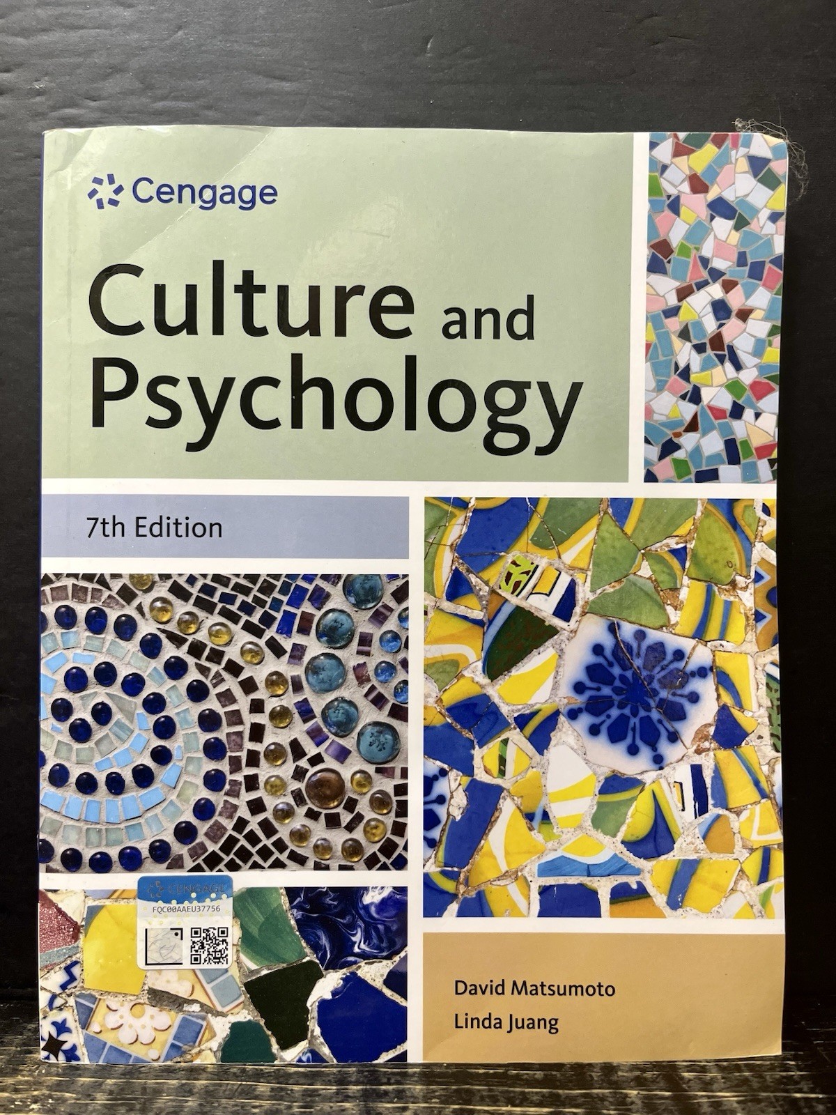 Culture and Psychology 7th Edition by Matsumoto & Juang 2023 Sftcvr Like New A2