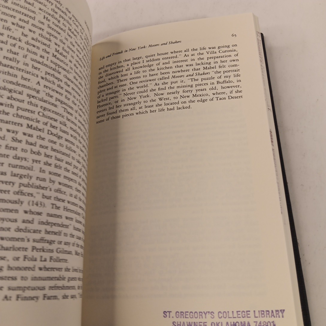 Mabel Dodge Luhan by Winifred L. Frazer HC (1984)