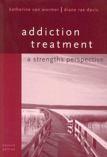 Addiction Treatment: A Strengths Perspective – Paperback – GOOD