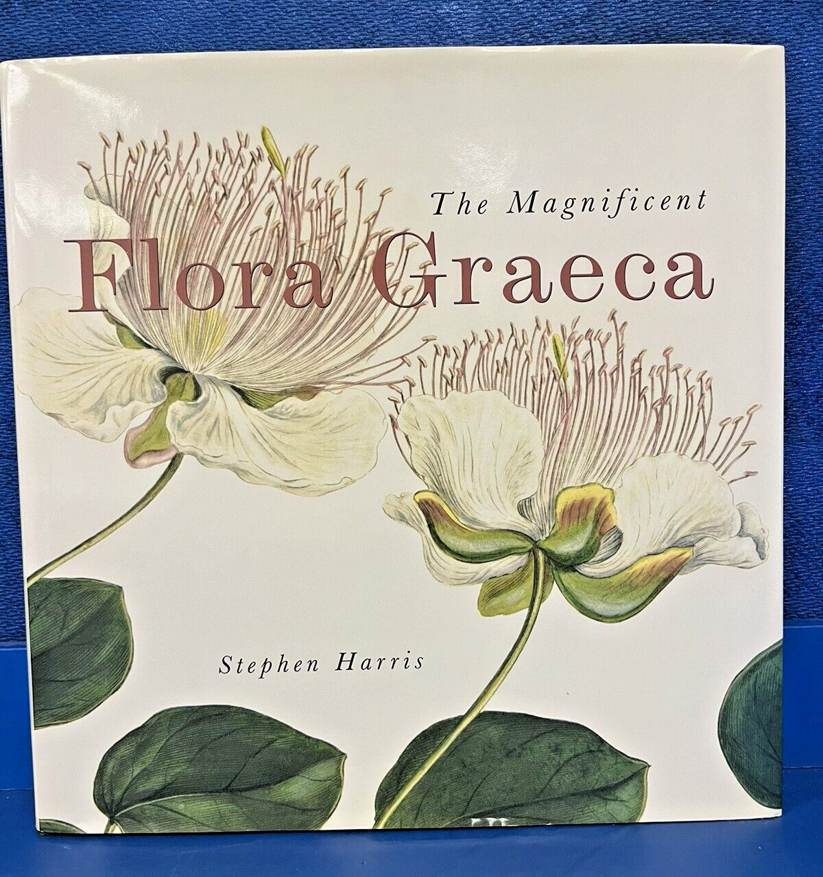 The Magnificent Flora Graeca : How the Mediterranean Came to the English