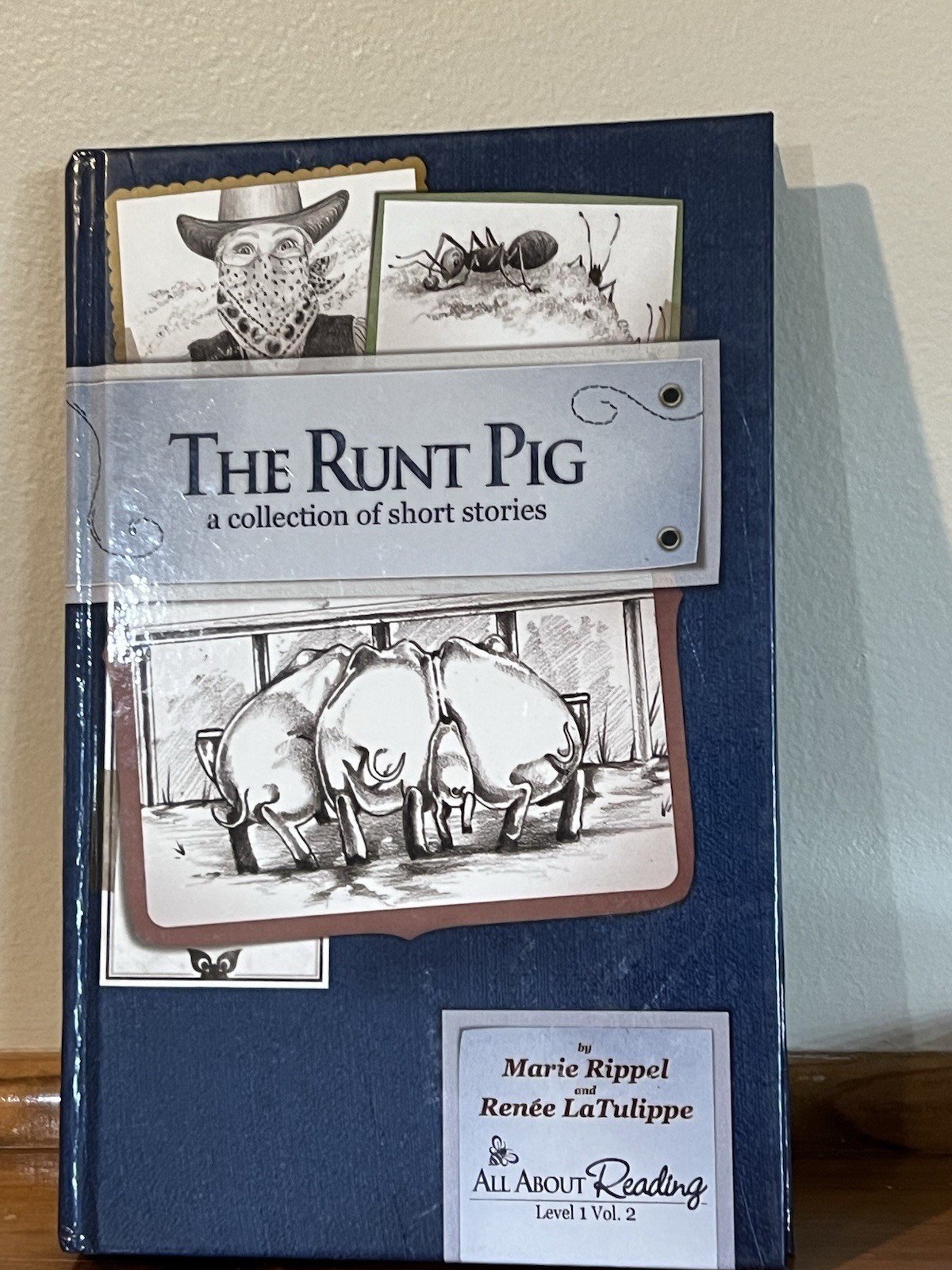 The Runt Pig A Collection of Short Stories All About Reading Level 1