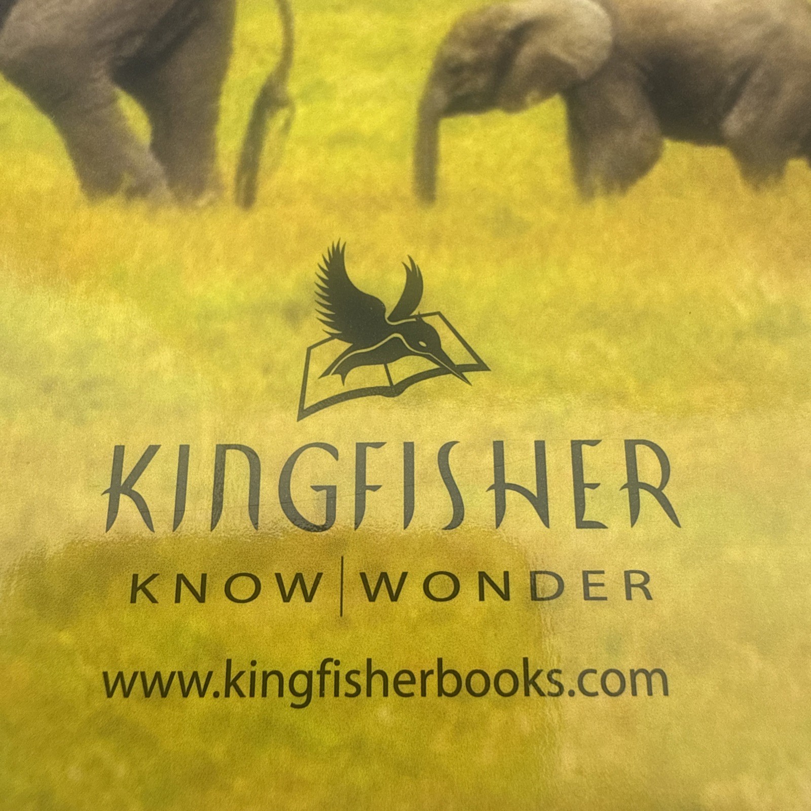 Kingfisher Animal Encyclopedia David Burnie 3rd Edition Paperback
