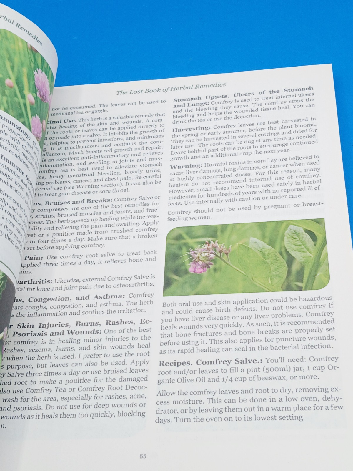 The Lost Book of Herbal Remedies (paperback with color pictures)
