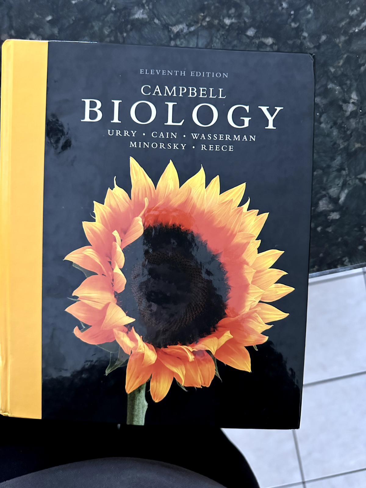 Campbell Biology Ser.: Campbell Biology by Lisa Urry, Steven Wasserman, Michael