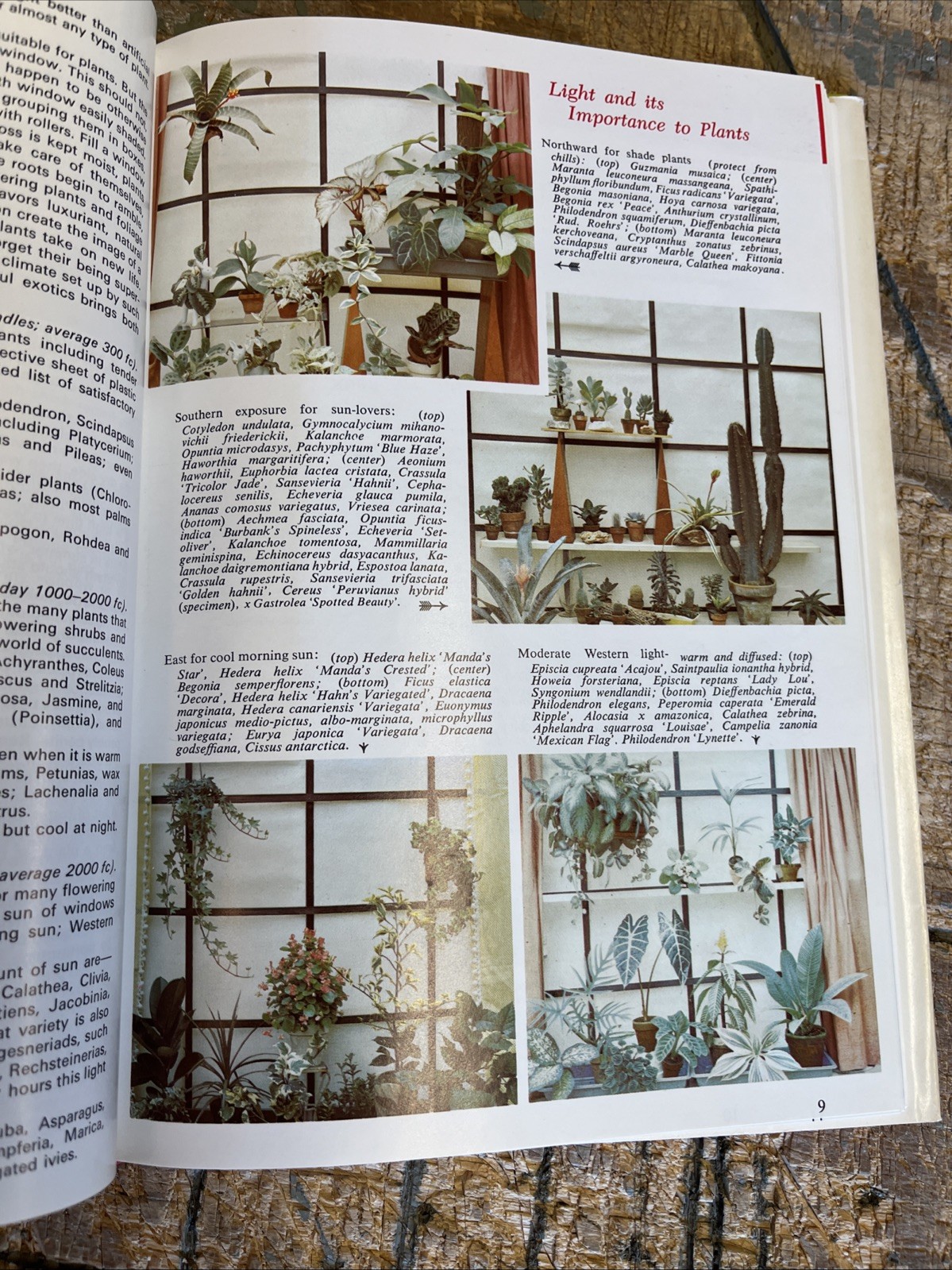 Exotic Plant Manual by A. B. Graf 1200 Illustrations Botany 1976 10th Edition