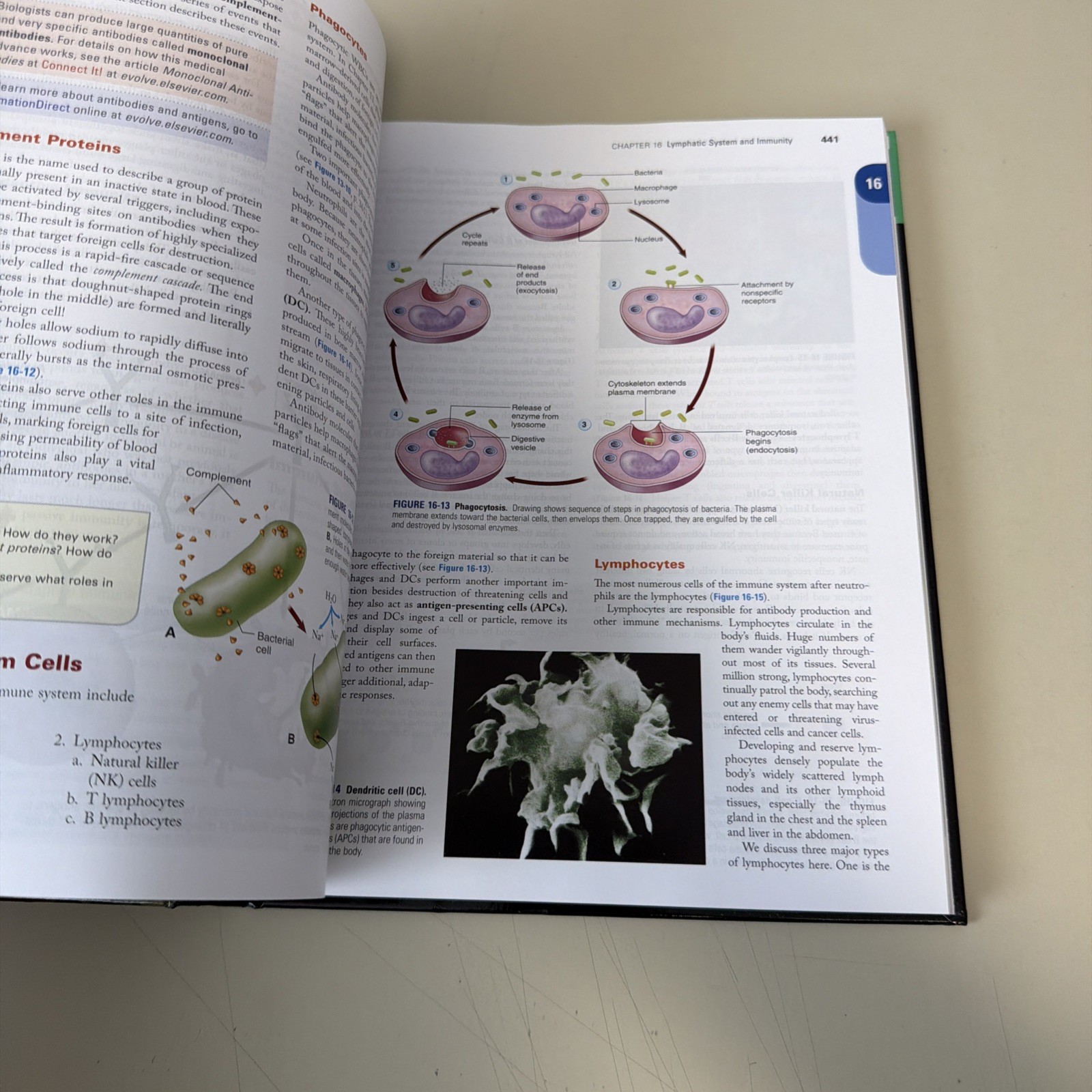 The Human Body in Health and Disease: 7th Edition & Study Guide 2018
