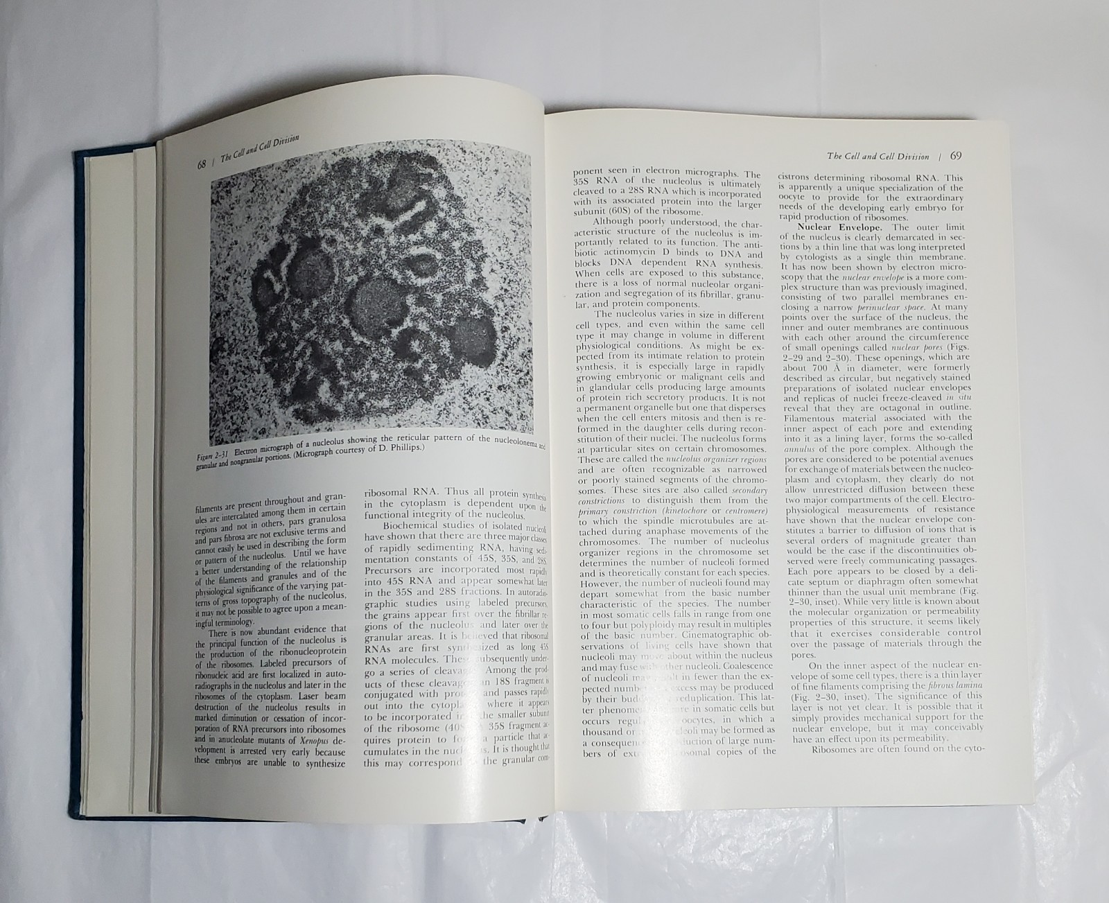 A Textbook of Histology by Bloom and Fawcett – 10th Ed., W. B. Saunders, 1975