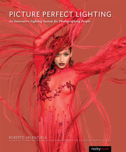 Picture Perfect Lighting: An Innovative Lighting System for Photographing – GOOD