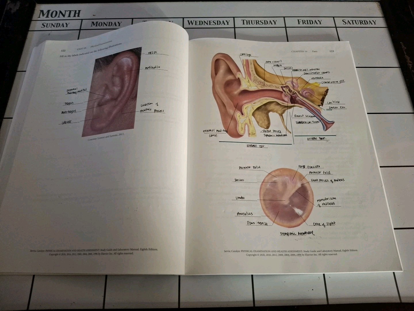 Jarvis Physical Examination & Health Assessment 8th Edition
