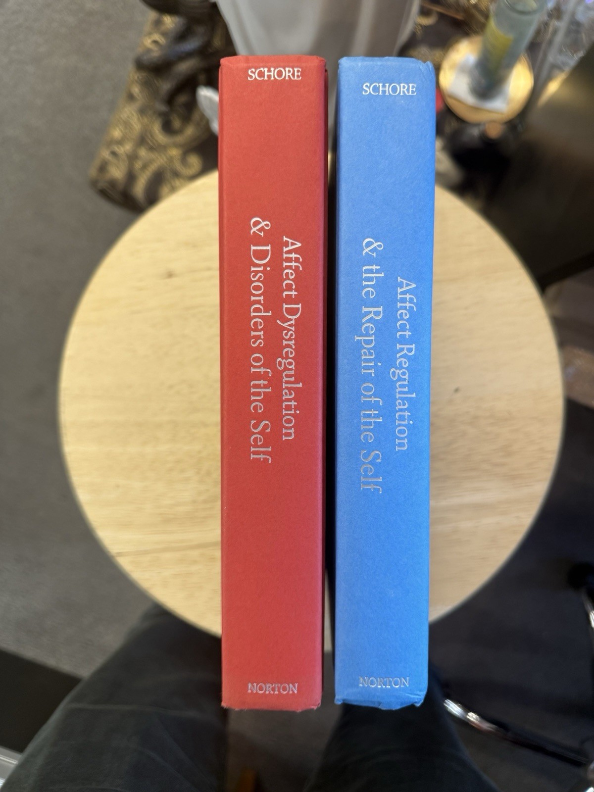 Affect Dysregulation & Affect Regulation 2 Volumes (Hardcover)