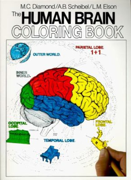 The Human Brain Coloring Book : A Coloring Book Paperback