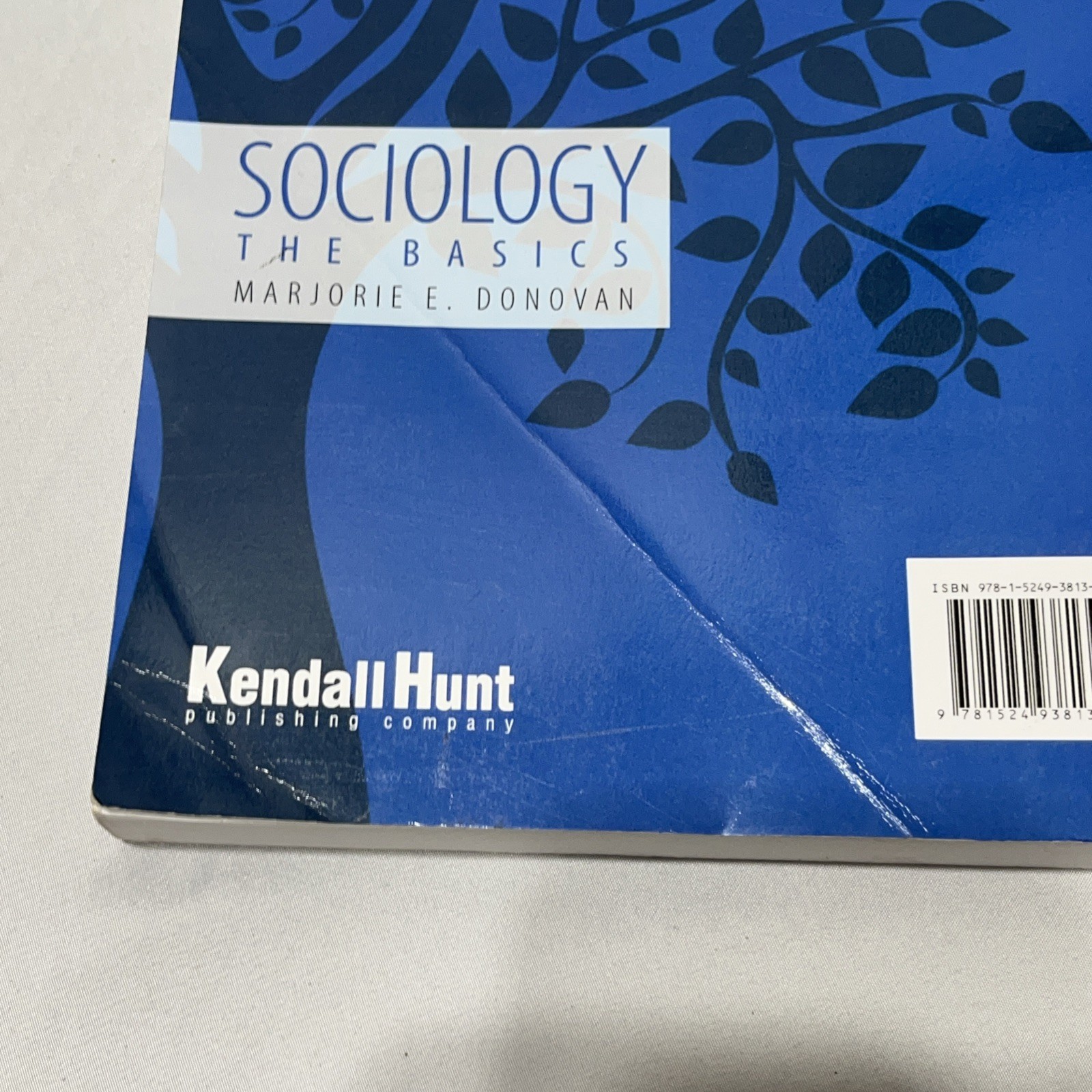 Sociology The Basics by Marjorie E. Donovan (English) Paperback Book