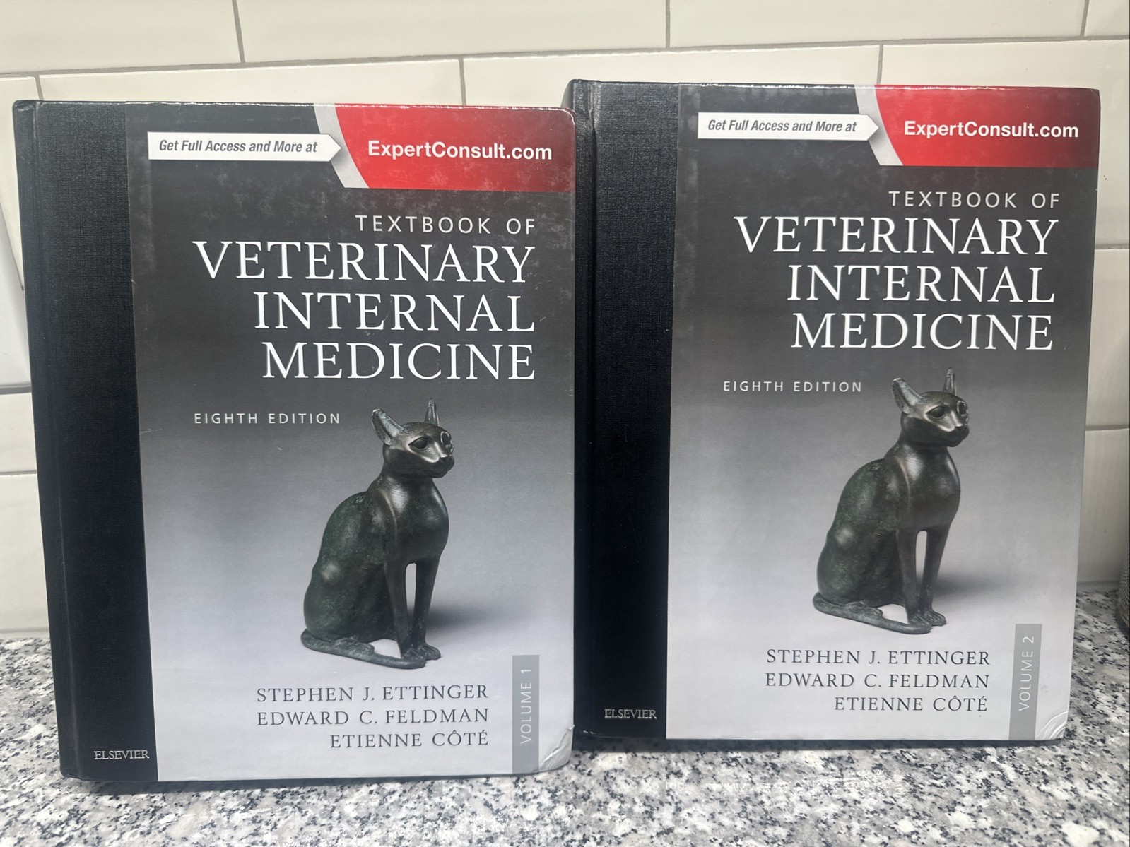 Textbook of Veterinary Internal Medicine Expert Consult by Edward C. Feldman,…