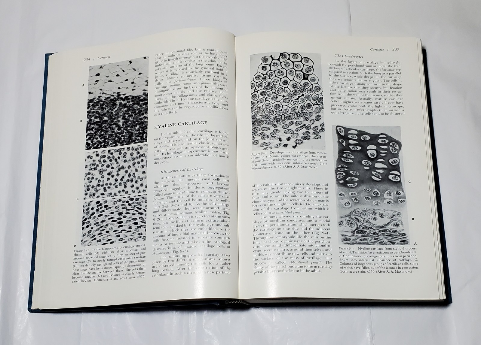 A Textbook of Histology by Bloom and Fawcett – 10th Ed., W. B. Saunders, 1975
