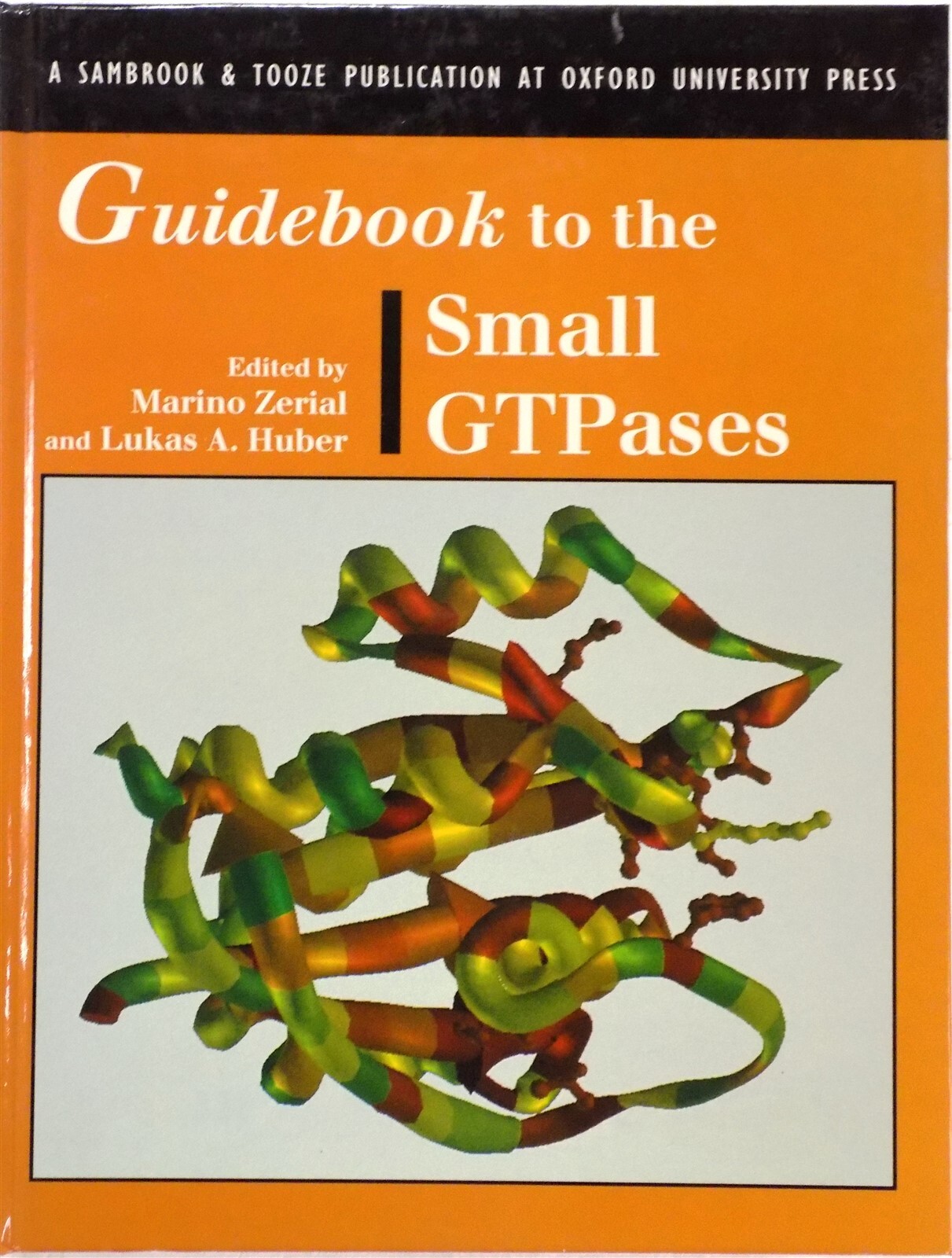 Sambrook and Tooze Guidebook: Guidebook to the Small GTPases 1996 Hardcover