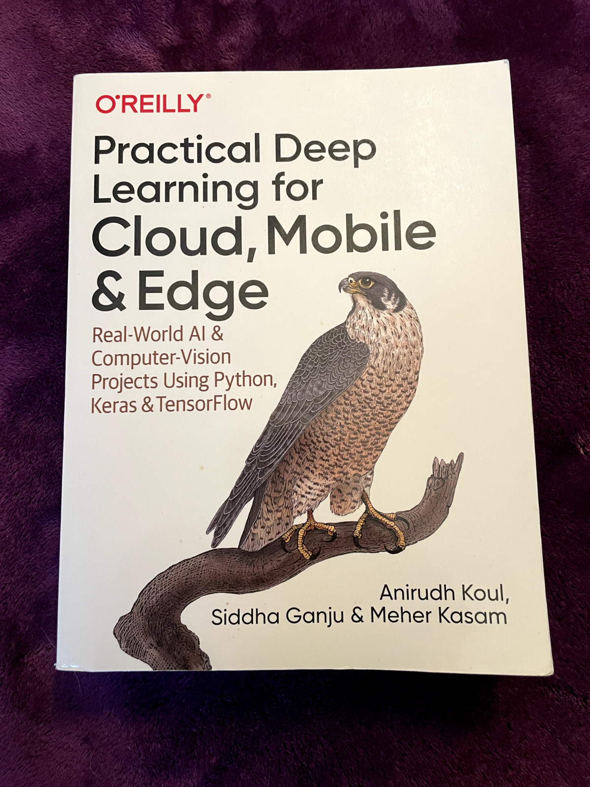 Practical Deep Learning for Cloud, Mobile, and Edge by Koul, Ganju and Kasam