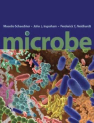 Microbe by Schaechter, Moselio