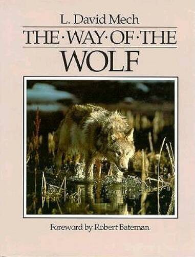 The Way of the Wolf – Hardcover By Mech, L. David – GOOD