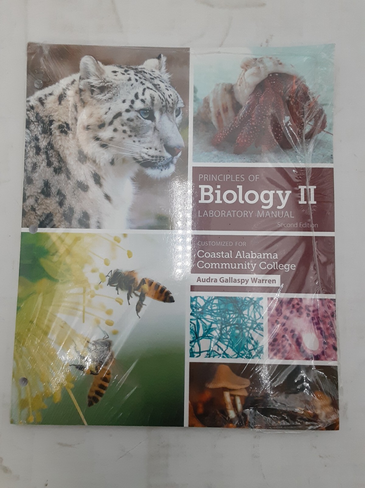 Principles of Biology II Lab Manual 2E Coastal Alabama Com College 9781640437821