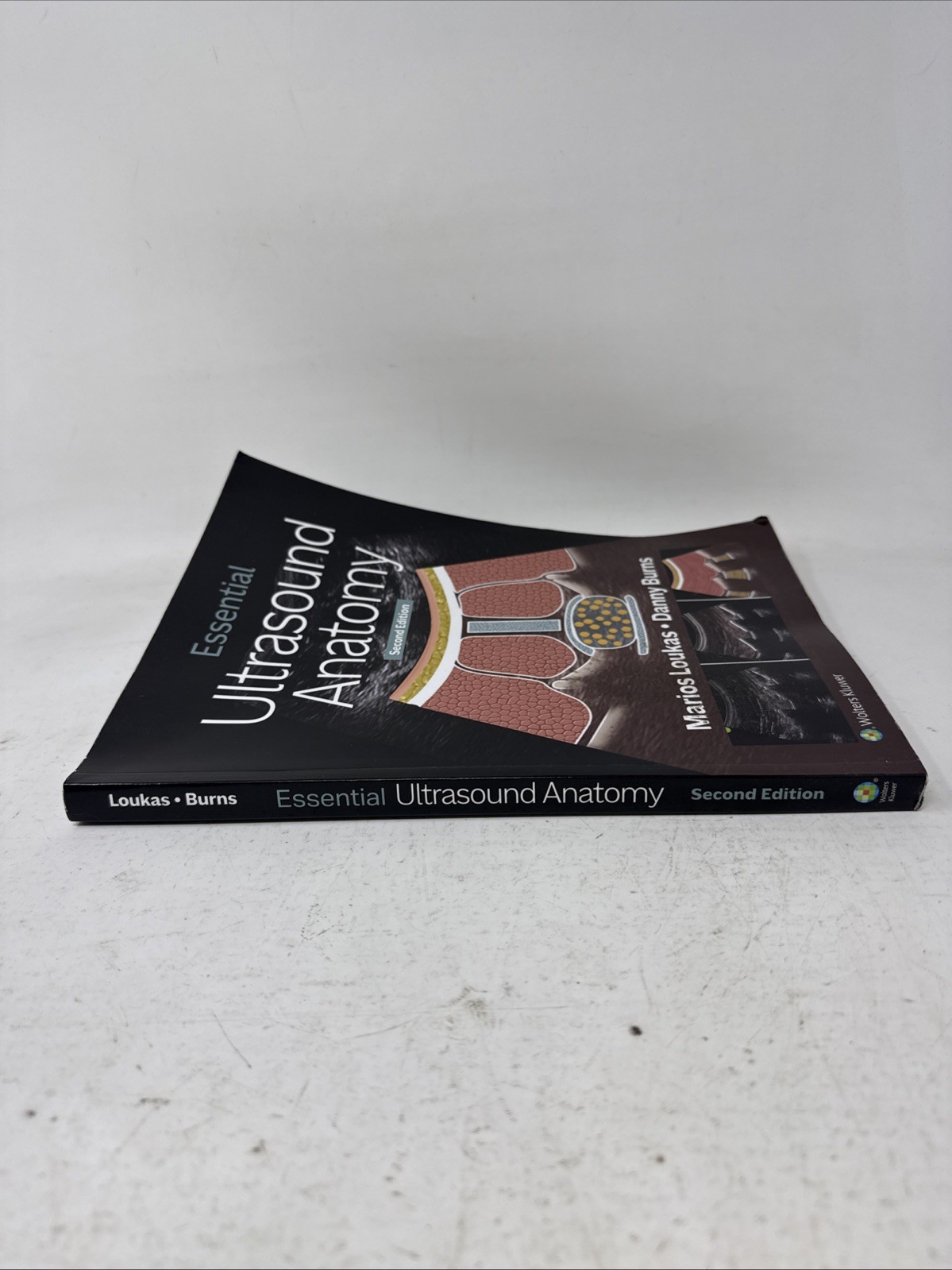 Essential Ultrasound Anatomy. Second Edition. by Marios Loukas Paperback Book